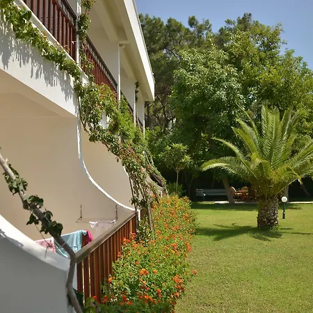 Semesteranläggning (resort) Club Boran Mare 5*